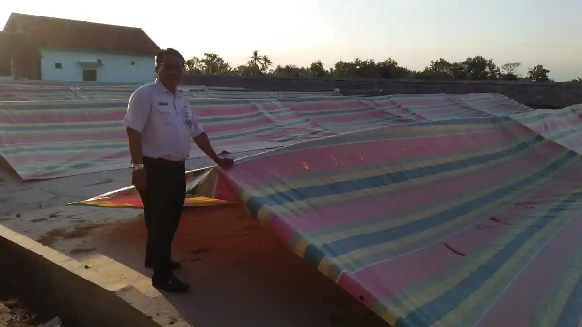 Balai Benih Padi di Bantul Berhasil Membuat Terobosan Pengeringan Benih