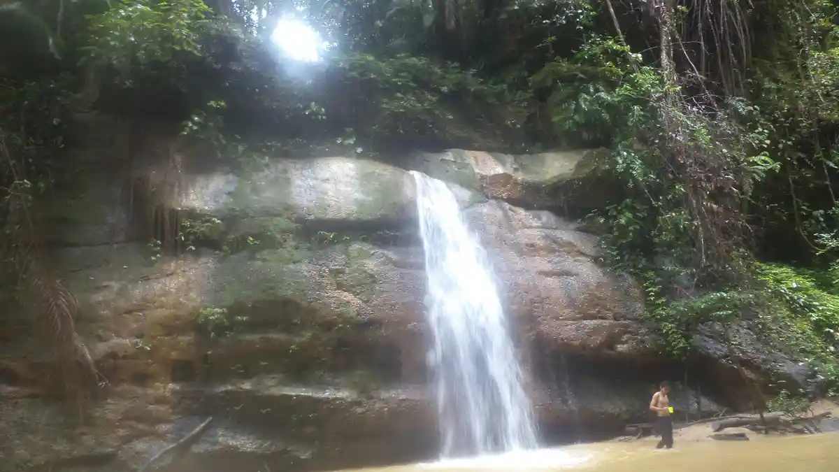 Air Terjun Tangkum 1, 2 dan 3, Keindahan Alam Tersembunyi di Hutan Desa Panaan, Tabalong