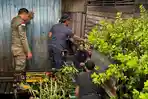 Perilaku Aneh Buaya Sepanjang 1,5 Meter Saat Anggota Damkar Tanahbumbu Kalsel Pasang Alat Jebakan