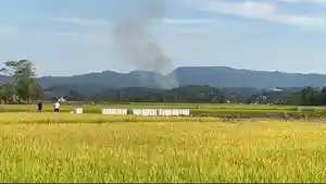 Distan-Kendari-Anjurkan-Tanam-Jagung-dan-Ubi-Selama-Kemarau-Siapkan-11-Pompa-Air-di-Area-Persawahan.jpg