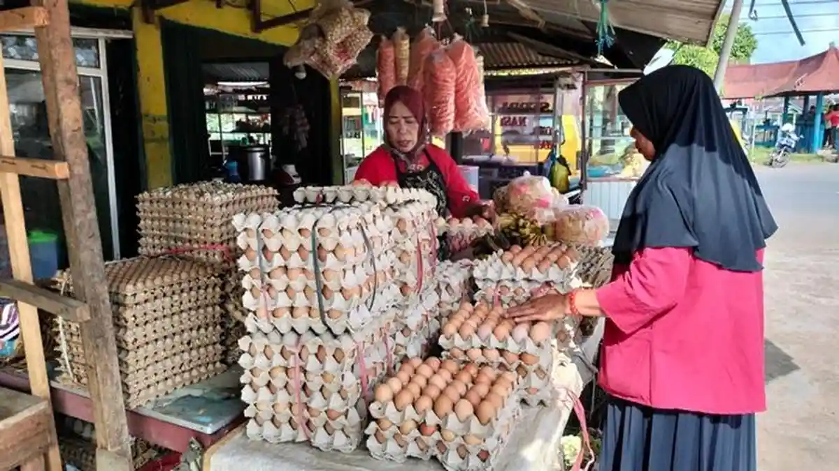 Update Harga Telur Ayam Ras di Musi Rawas 23 Juni 2023, Bertahan Rp55 Ribu per Kilogram