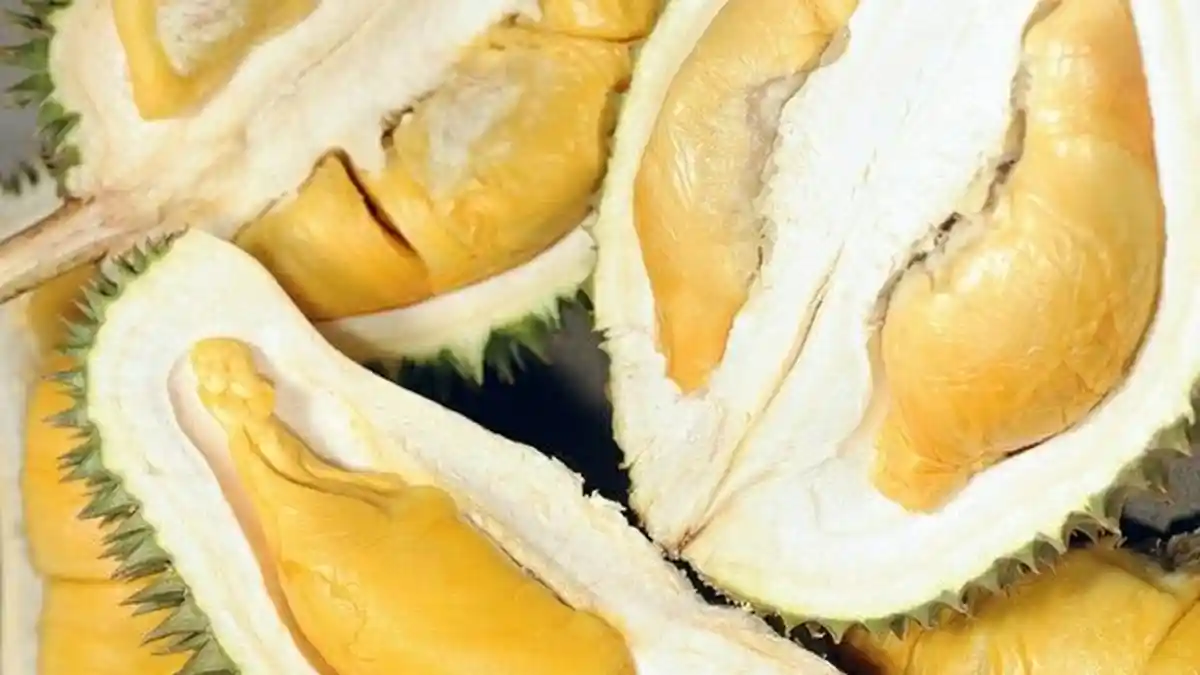 Setelah Makan Durian, Minum Kopi, dan Bercinta, Seorang Pria Ditemukan Tewas di Kamar Sang Pacar