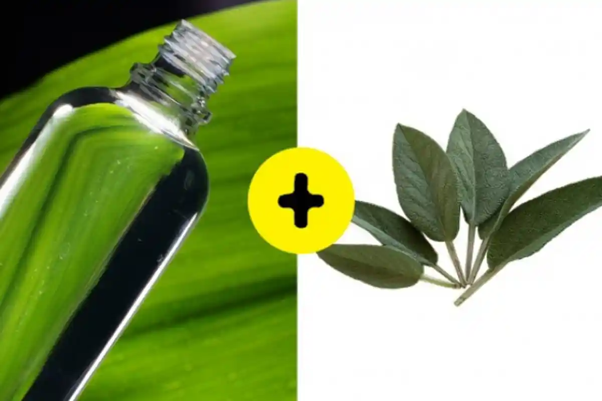 Manfaat Air Lemon dan Tingtur Daun Sage untuk Rambut, Ternyata Menakjubkan!