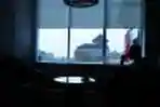 Bahaya Mencabut Bulu Hidung