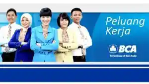 peluang-kerja-bersama-bca.jpg