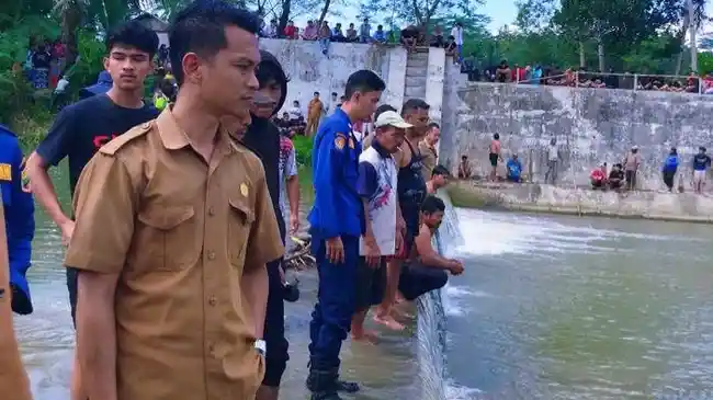 Tribun