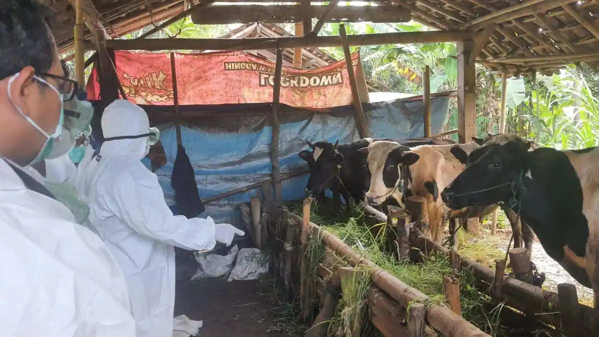 Kolaborasi Kementan dan Pemda Jateng Pastikan Hewan Kurban Sehat