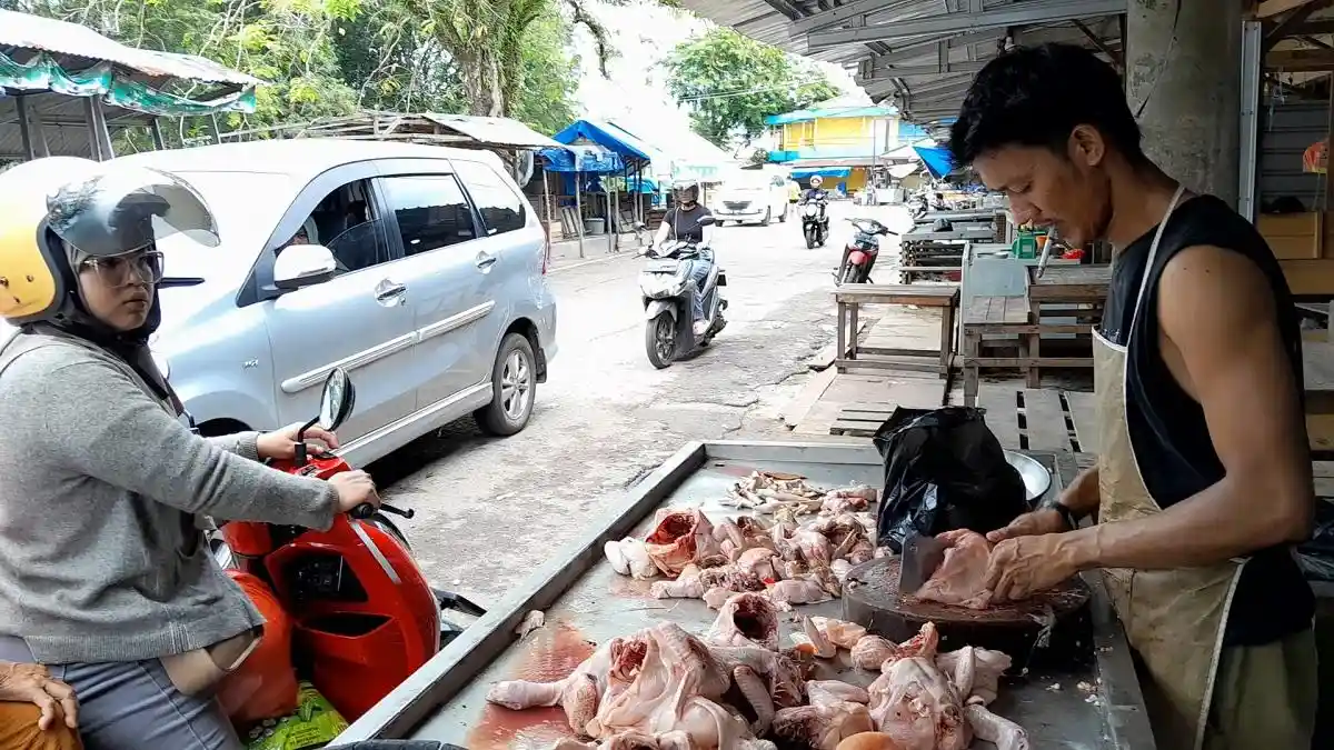 Harga Ayam Potong di Tanjungpandan Stabil