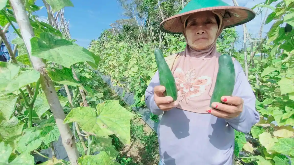 Mimpi Edi Damansyah Jadikan Tenggarong Pilot Project Tani Milenial