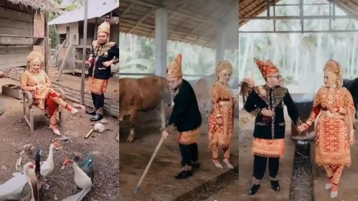 VIRAL Calon Pengantin Foto Prewedding di Kandang Bebek dan Sapi, Ternyata Begini Kisah di Baliknya