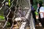 Pemkot Bandung Rencana Menyegel Bandung Zoo