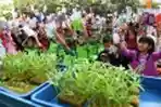 Limbah Botol Plastik Media Tanam Kangkung dan Sawi