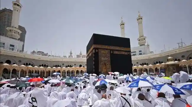Tribun