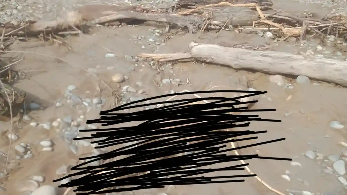 Penemuan Mayat Pria Tanpa Identitas di DAS Sungai Alas Hebohkan Warga Agara
