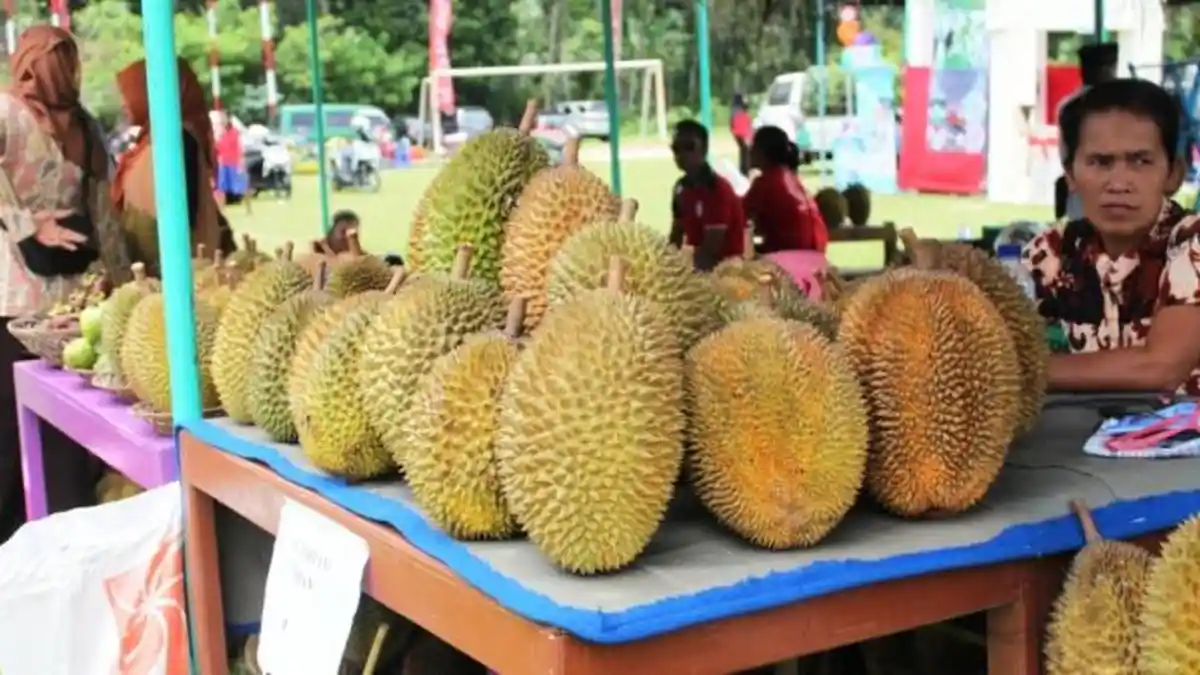 Durian Susu Molek: Dagingnya Tebal, Manis, dan Tak Lengket, Hanya Ada di Desa Kebonsari Magelang