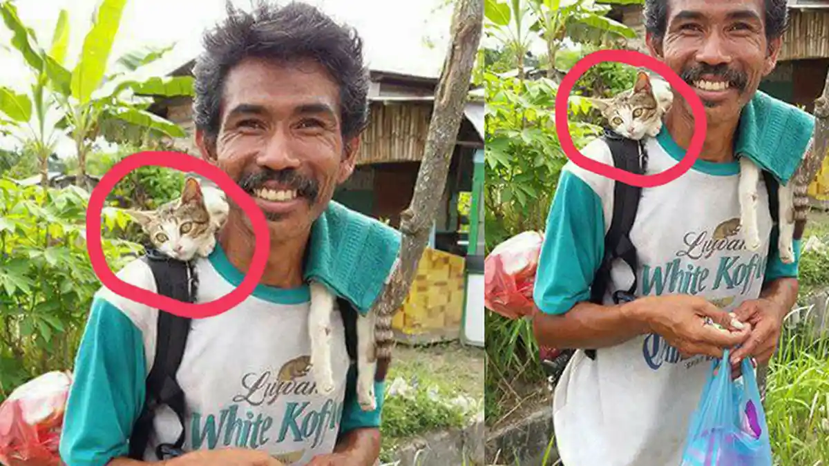 Disangka Orang Gila, Pria yang Kemana-mana Gendong Kucing ini Punya Hati Tulus, Kisahnya Viral