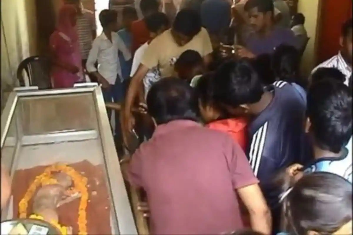 Anak Sapi Berwajah Manusia Hebohkan Warga