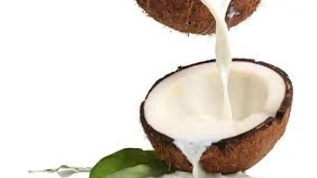 Santan Tak Mengandung Kolesterol, Tapi Mengandung Lemak Jenuh yang Punya Kegunaan Ini