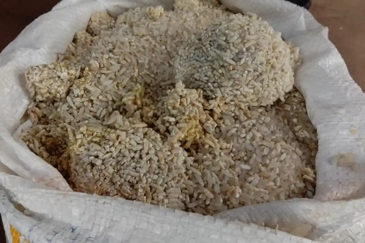 Geger, warga Pandeglang Terima Beras Bansos PPKM dalam Kondisi Busuk dan Menggumpal