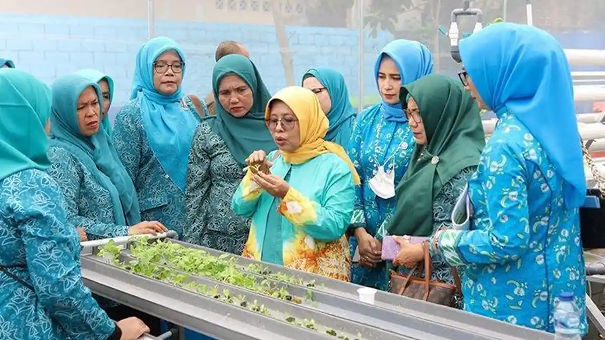 Program BRInita Medan : Ajak Masyarakat Jangan Ragu Bertani Walau Lahan Sempit dan Padat Pemukiman
