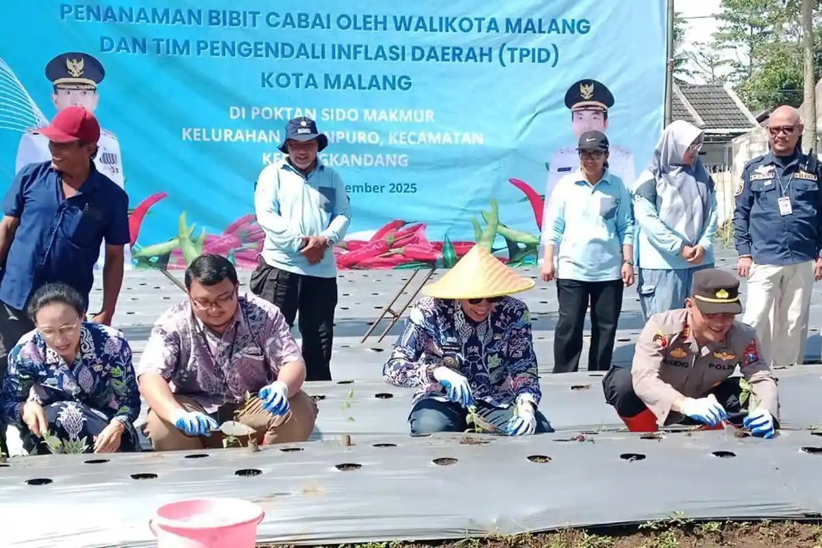 Antisipasi Lonjakan Harga Pangan, Pemkot Malang Buka Puluhan Hektare Lahan Cabai