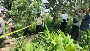 balok-kayu-BULELENG.jpg
