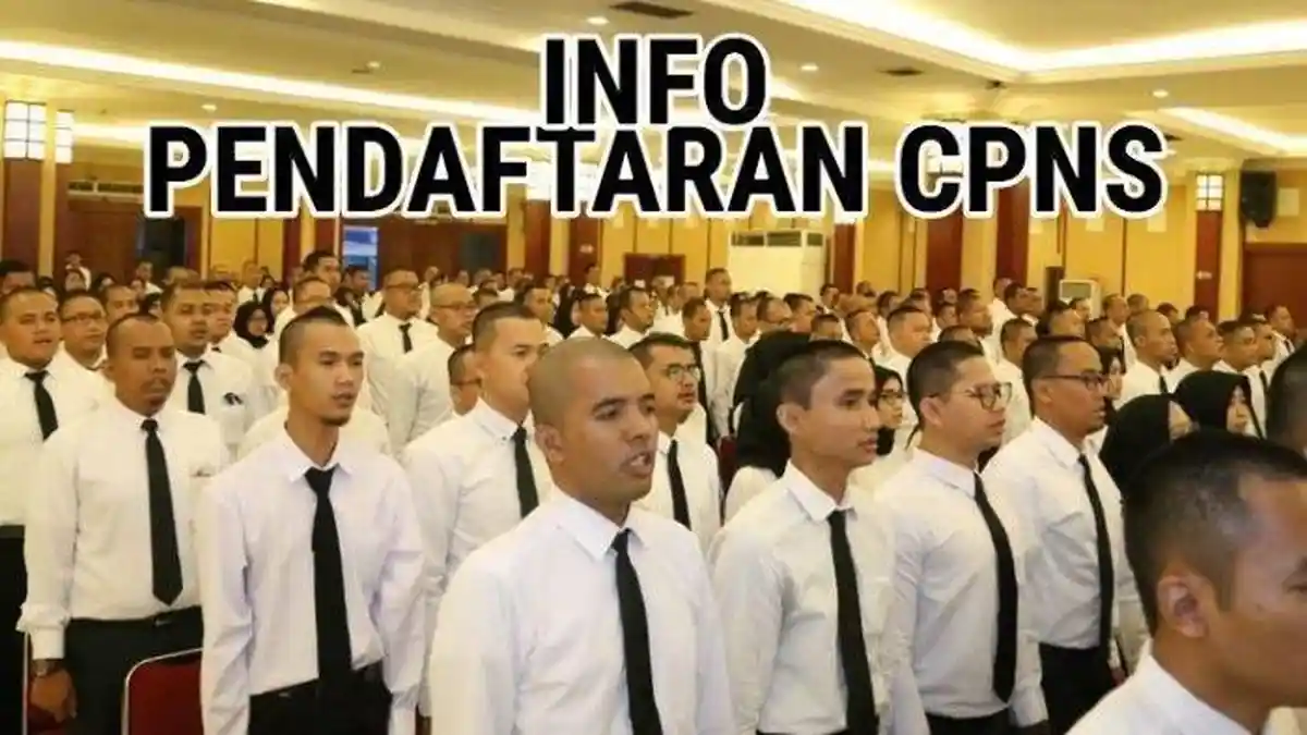 LOGIN sscasn.bkn.go.id dan Download Formasi CPNS 2019 di Kementerian dan Daerah Serta, Cara Daftar