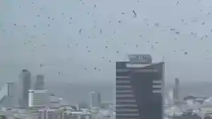 Heboh-Langit-Tel-Aviv-Dipenuhi-Ribuan-Gagak-Ilmuwan-Bongkar-Dugaan-Pertanda-Malapetaka-Bagi-Israel.jpg