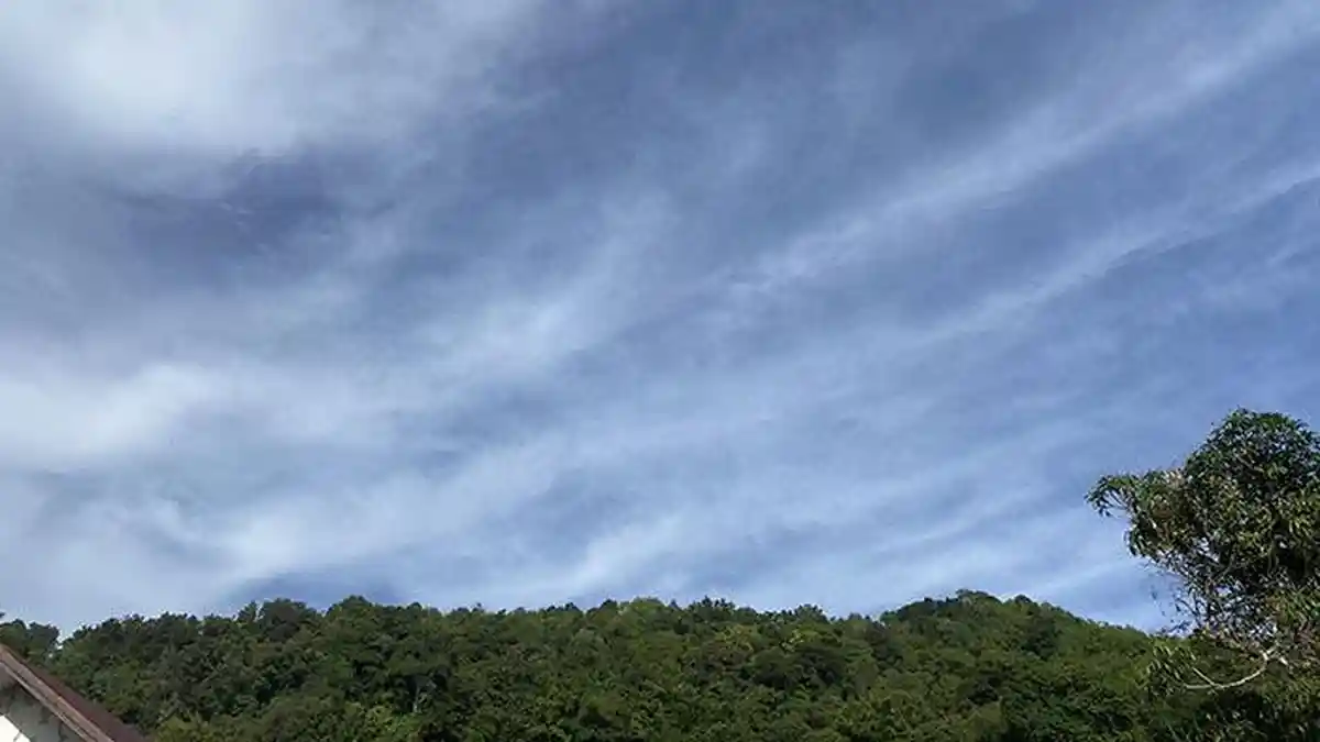 Prakiraan Cuaca Aceh Selatan 29 Juli 2025, Dominan Berawan hingga Cerah