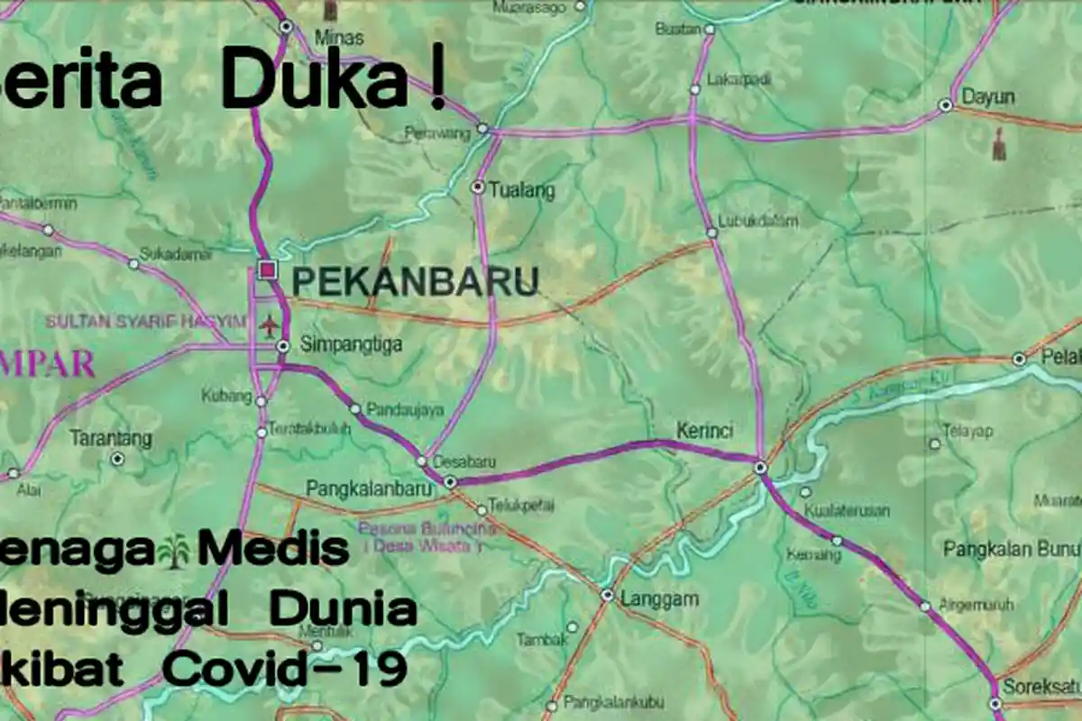 Sisca, Perawat Covid-19 Pekanbaru Meninggal Dunia Akibat Corona, Ternyata Tulang Punggung Keluarga