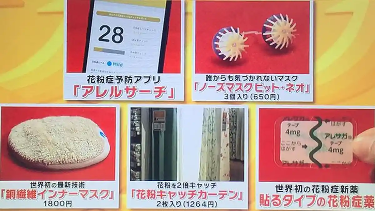 Alergi Serbuk Sari Bunga Sakura di Jepang Cukup Diantisipasi dengan Plester dan Penyumbat Hidung