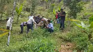 20250902-Ladang-Ganja-Bulukumba.jpg