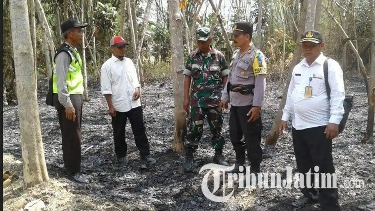 Nenek Misih Tewas Dikepung Api Saat Membakar Sampah di Kebun Bambu