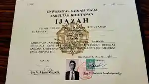 Ijazah-jokowi.jpg