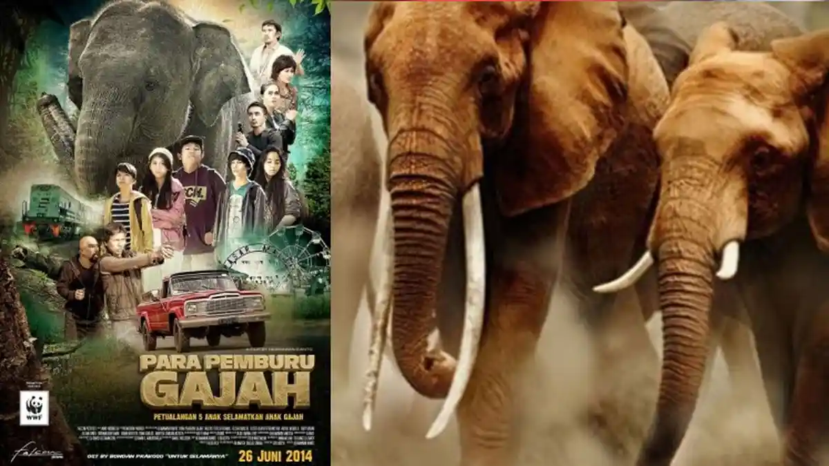 Kalau Anda Cinta Gajah dan Peduli Kelestariannya, Film Ini Wajib Tonton!