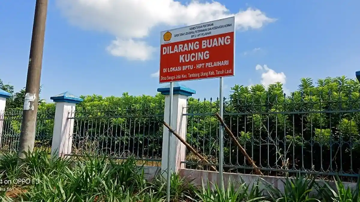 Ternak Sering Terganggu, Instansi Ini Larang Warga Buang Kucing