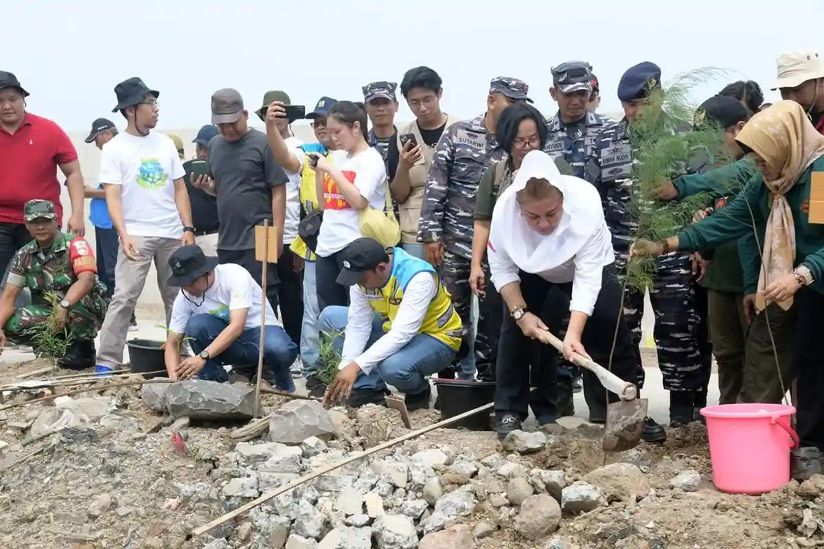 Minimalisir Rob dan Banjir, Pemkot Semarang Tanam 400 Bibit Tanaman di Area Sheet Pile Tambakmulyo