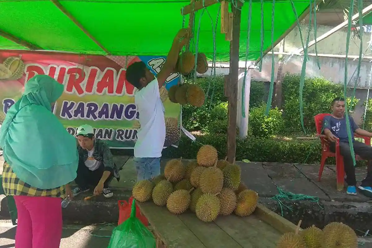 CARA Pilih Durian Enak - Ini Bentuk Tangkai, Kulit, Aroma dan Warna Ideal