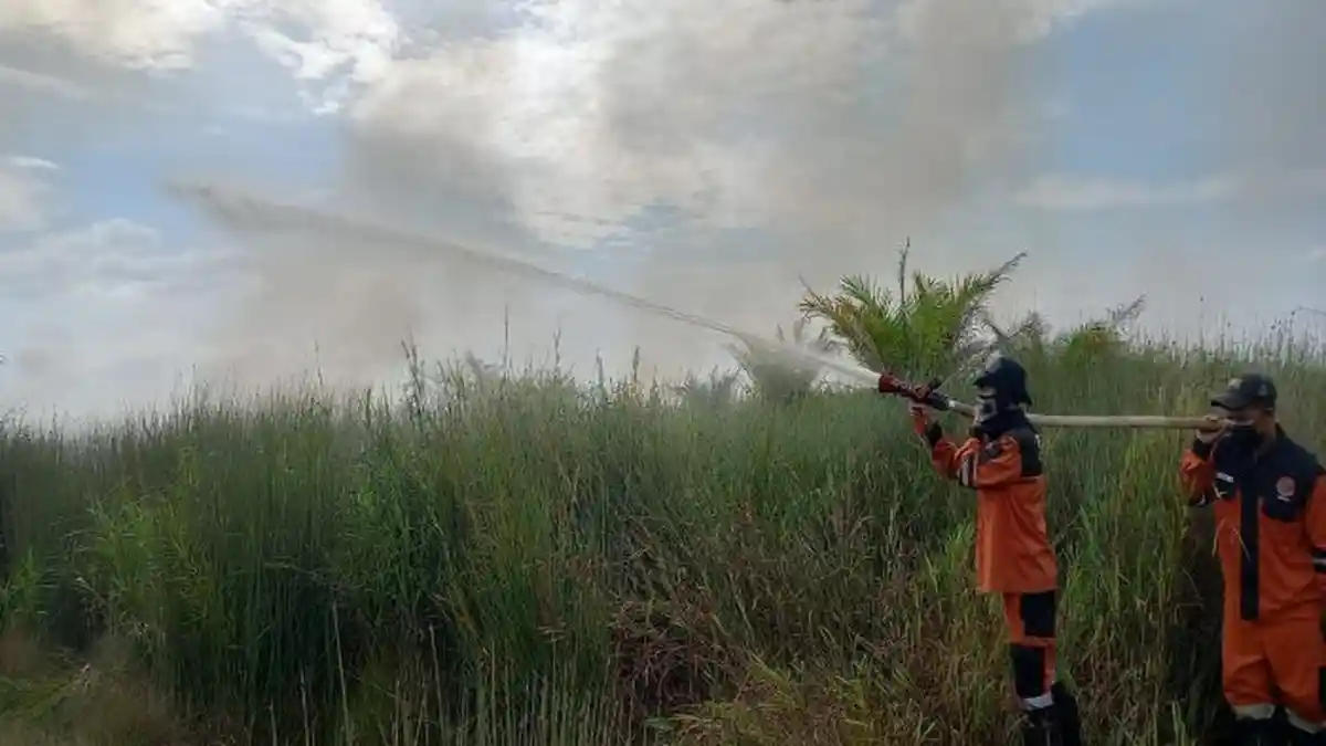 Lahan Gambut Inderalaya Utara Terbakar, Satgas Penanggulangan Karhutla Berjibaku Padamkan Api