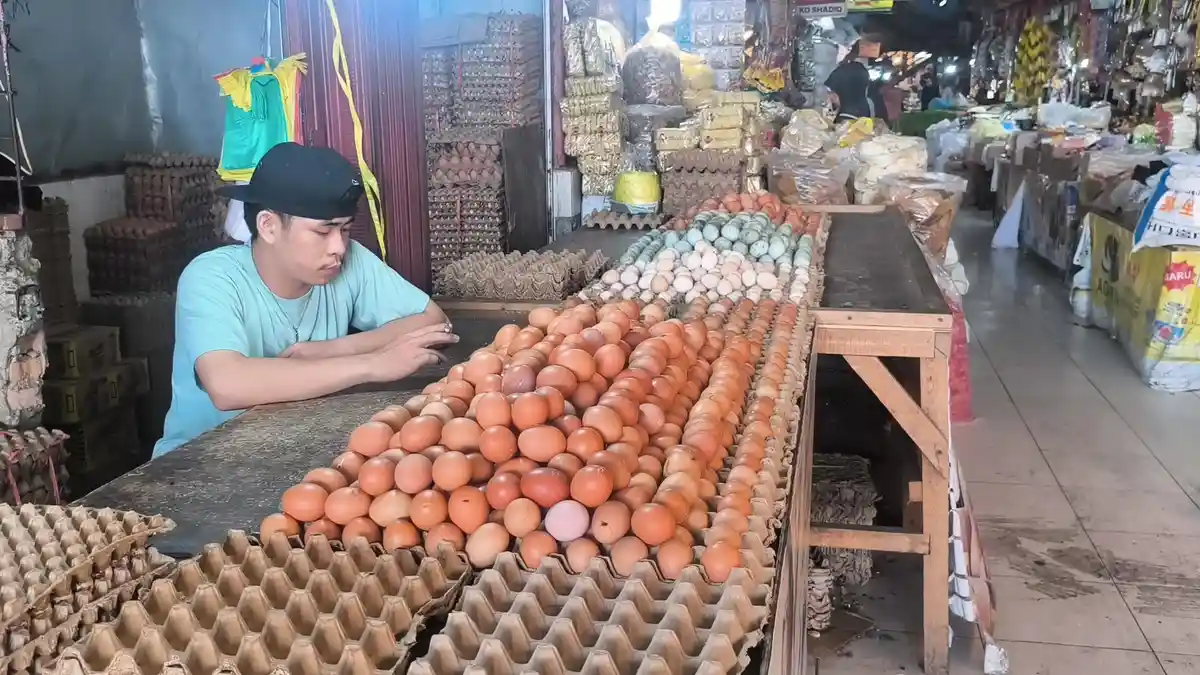 Harga Telur Ayam dan Bebek Pascalebaran Tetap Stabil di Pasar Raya Padang
