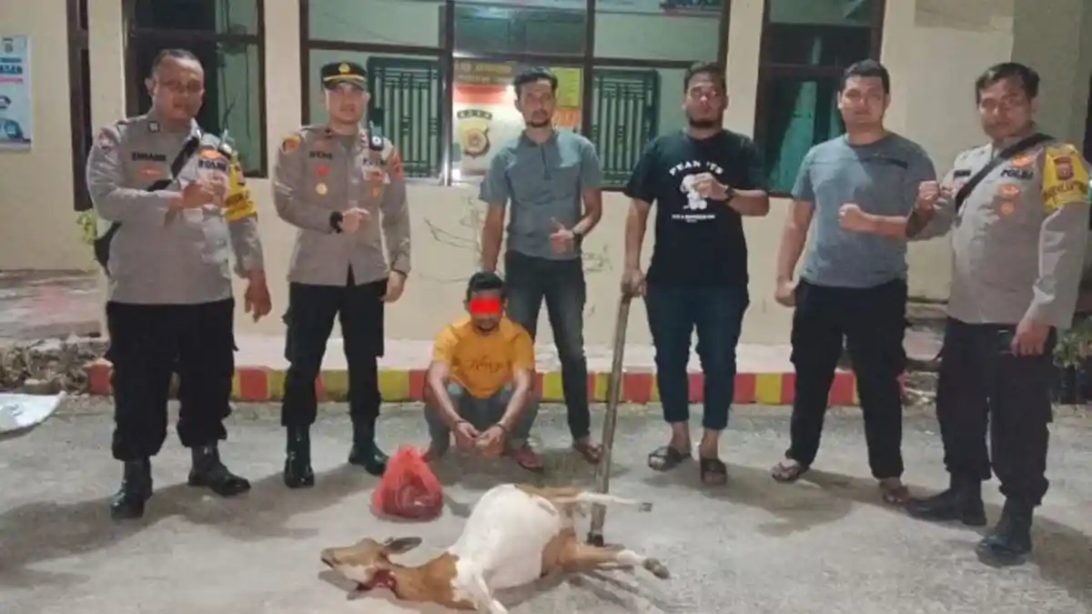 Polisi Tangkap Pencuri Kambing, Ternak Langsung Disembelih di Kandangnya