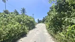 jalan-di-haltim.jpg