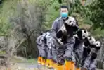 Imutnya Bayi Panda saat Syuting Ucapan Imlek