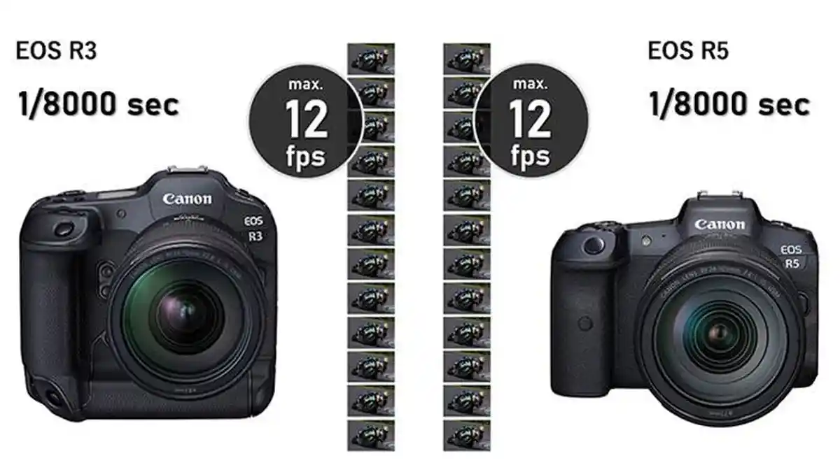 Perbandingan Canon EOS R3 Vs EOS R5: Kualitas Gambar Diam