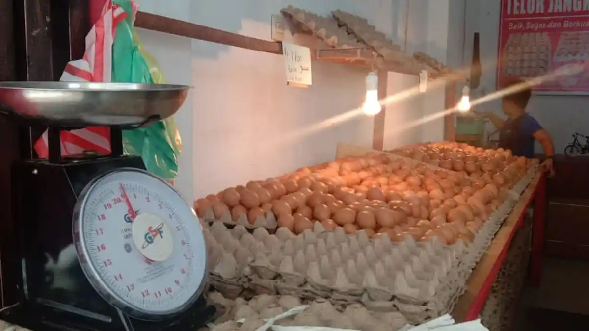 Stok Melimpah, Harga Telur Ayam Ras di Pasar Mardika Ambon Mulai Turun