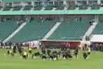 Timnas Polandia Uji lapangan