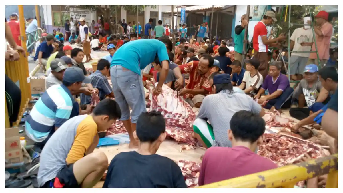 Iduladha, Kulit Hewan Kurban Boleh Dijual? Rasulullah Muhammad Beri Peringatan Keras Soal Sembelihan