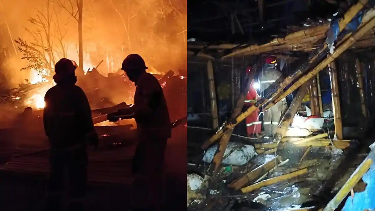 Penyebab Kebakaran 2 Kandang Ayam di Tengaran Semarang, Diduga Berasal dari Korsleting Blower - Tribunjateng.com