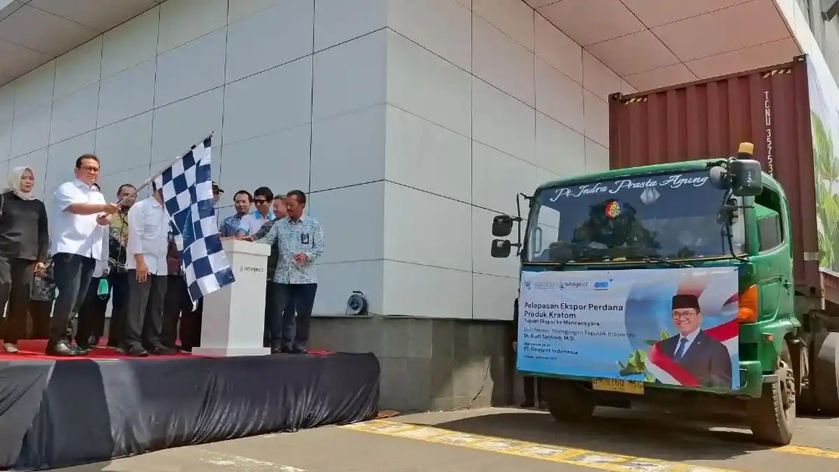 Indonesia Ekspor 351 Ton Bubuk Kratom ke AS dan Eropa Senilai Rp 17,4 Miliar Dolar