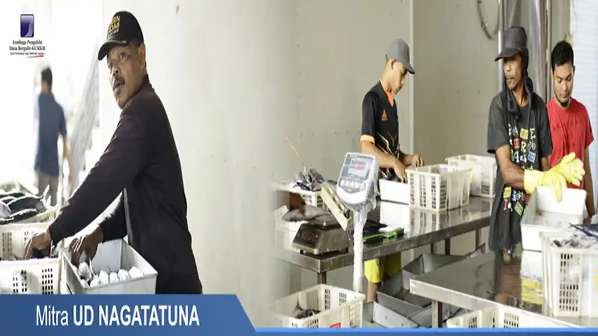 Lowongan Kerja Juni 2020, Lembaga Pengelola Dana Bergulir Buka 10 Posisi dengan 30 Formasi untuk S1